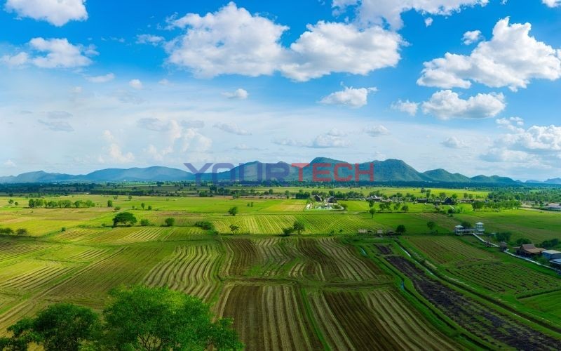 hoi-thao-giong-lua-rd43-3